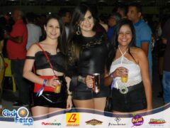 Festa da Vaca Atolada